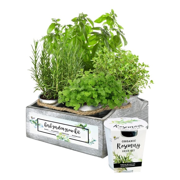 Buzzy Other Buzzy 4 Pot Herb Window Wood Carrier Basil Cilantro